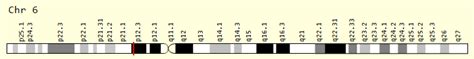 adagf|ADGRF1 Gene .